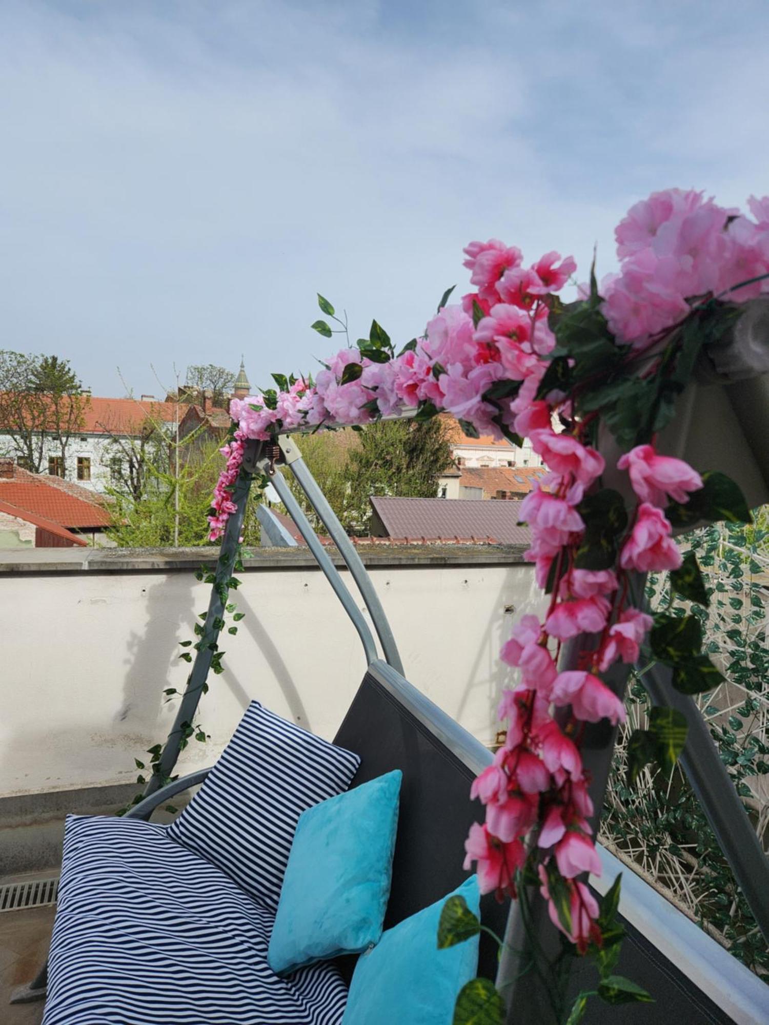 טימישוארה Central, Big Terrace, Near River מראה חיצוני תמונה
